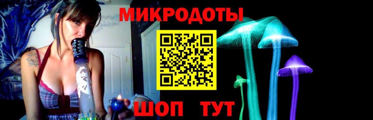 Псилоцибиновые грибы GOLDEN TEACHER  Вход с VPN  Конаково  Галлюциногенные грибы Psilocybe 