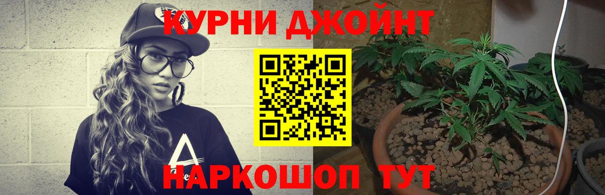 Канабис тримм  Вход с VPN  Бошки марихуана гибрид  Бошки Шишки THC 21%  МАРИХУАНА индика  Конаково 